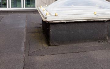 disadvantages of Minterne Magna flat roofs