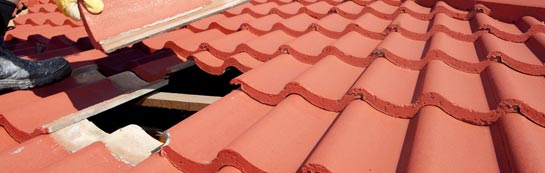 compare Minterne Magna roof repair quotes